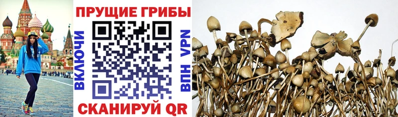 Галлюциногенные грибы ЛСД  Темрюк 